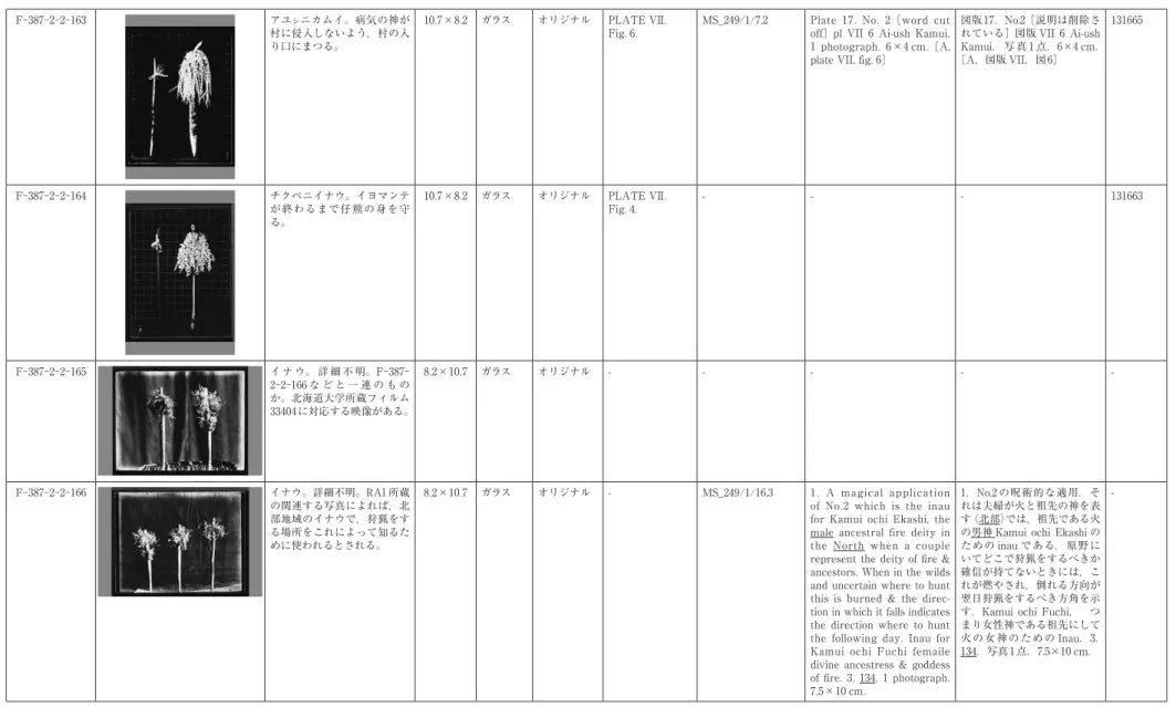Fig. 6. MS_249/1/7.2 Plate  17.  No.  2  ［word  cut off］ pl VII 6 Ai-ush Kamui. 