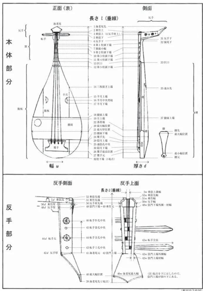 図 1 琵琶各部の名称と計測位置1 海老尾先2 乗竹上3 乗弦上（4 反手材上）5 乗弦下6 反手下8 第 1 柱頭下端7 頸最小幅9 第 2 柱頭下端10 第 3 柱頭下端11 第 4 柱頭下端13 匡口12 第 5 柱頭下端海老尾転手反手頸腹板腹板半月撥面覆手14 三枚接ぎ上端 31 反手下32 猿尾下33 匡口35 遠山先 槽槽撥撥先最大幅位置最小幅位置撥元37 撥面上端15 半月上端16 半月中央突起17 半月下端18 撥面上端19 月上端22 落帯端20 最大幅位置21 最大厚位置23 撥面下端2