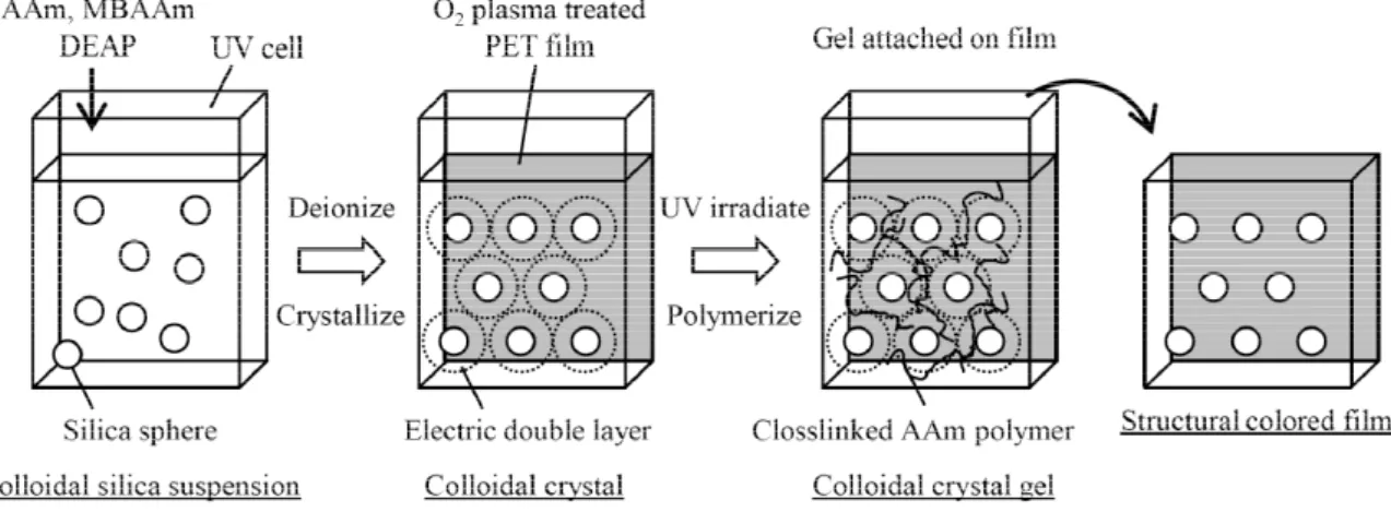 Fig. 1    Scheme of the method to prepare the structural colored film. 