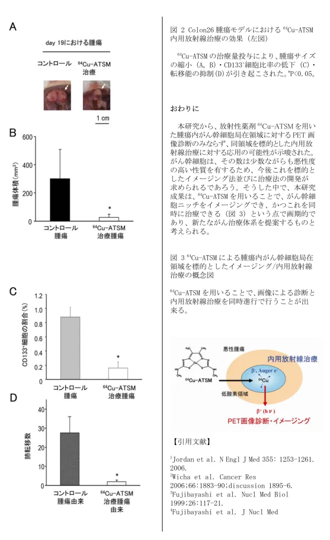 図 2 Colon26 腫瘍モデルにおける 64 Cu-ATSM 内用放射線治療の効果（左図）  64 Cu-ATSM の治療量投与により、腫瘍サイズ の縮小（A, B）・CD133 + 細胞比率の低下（C）・ 転移能の抑制（D）が引き起こされた。* P<0.05。  おわりに    本研究から、放射性薬剤 64 Cu-ATSM を用い た腫瘍内がん幹細胞局在領域に対する PET 画 像診断のみならず、同領域を標的とした内用放 射線治療に対する応用の可能性が示唆された。 がん幹細胞は、その数は少数なが