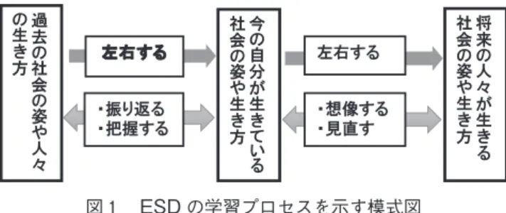 図 ESD の学習プロセスを示す模式図 いない因果メカニズムの働きがあり，またレベル間には相互作用や創発もあって，それらが相互に絡み合う開放系としての複雑な状況のなかにESD実践者は投げ込まれているのだということが示された。ESDの展開や実践の現状をこれら つのレベルの相互作用として俯瞰的に捉えた場合，ESD実践者としての教師には，一人の人間エイジェンシーとして自らのESD・教育観を実践との往還のなかで創り出し，学び合い，練りあげていくことが，またそうした実践を通じた教師の社会化の過程や，さらには国家や政策