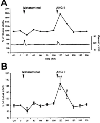 Fig. ４ . Effects of increases in blood pressure following intravenous administration of metaraminol and microinjection of ANG II into the SFO on the release of NA in the MnPO area under urethane anesthesia
