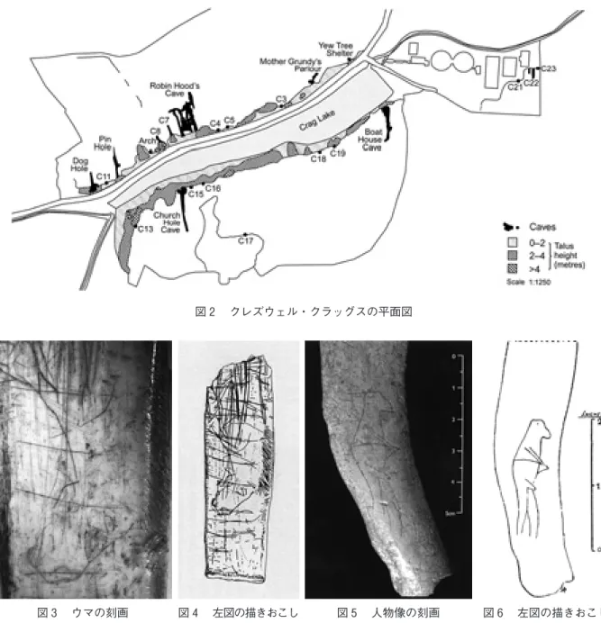 図 ウマの刻画 図 左図の描きおこし 図 人物像の刻画 図 左図の描きおこし図クレズウェル・クラッグスの平面図， ）遺跡の一つ，ロビン・フッド洞窟では，早くも 年にウマの頭部を刻んだ骨が発見されている。（図， ）また，年には別のピン・ホール洞窟において人物像とも解釈されるかたちの刻まれた骨も見いだされ，それらはともに大英博物館に所蔵されていて，後期旧石器時代の産物であると見なされている。（図 ， ） ）一方，イギリスには洞窟壁画は存在しないと，長らく考えられており，その常識に挑戦すべく，洞窟壁画研究の世界的