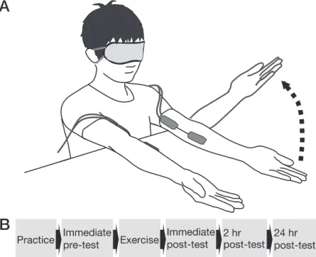 Figure . A : Experimental setup. Blindfolded participants sat at a table with their arm extended horizontally in a set position