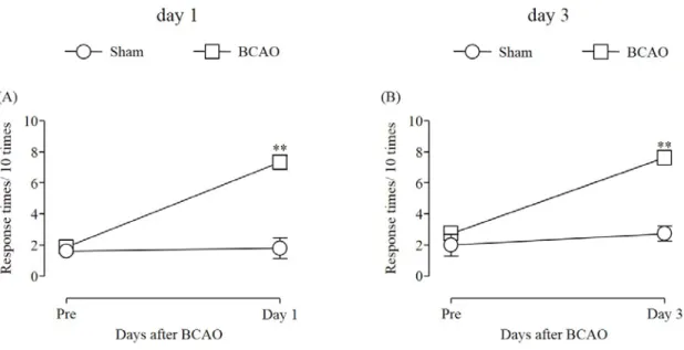 Fig. 1 Development of mechanical allodynia on days 1 and 3 after BCAO 