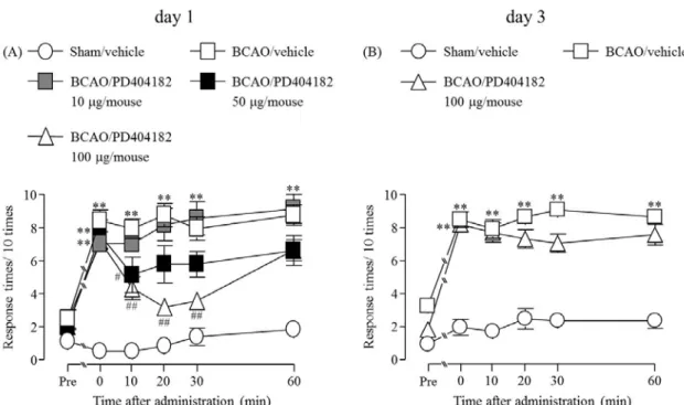 Fig. 4 Effect of (i.t.) administration of PD404182 on the development of mechanical allodynia  after BCAO 