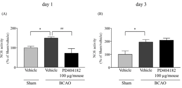 Fig. 5 Effect of (i.t.) administration of PD404182 on the increase of BCAO-induced NOS activity  in the spinal cord 