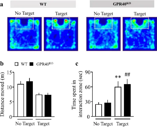 Fig. 4. Effect of GPR40/FFAR1 deficiency on social behavior in the social interaction test