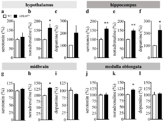 Fig. 5. The profile of monoamine in WT and GPR40 KO  mice.   