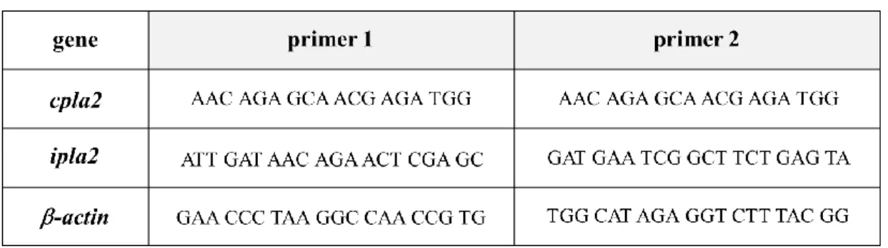 Table 2 Sequence of primers 