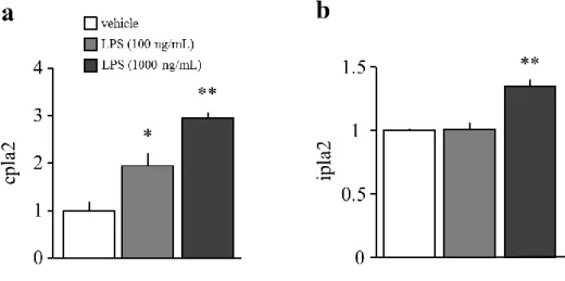 Fig. 9. The changes in phospholipases of primary astrocyte after LPS stimuli for 24hr