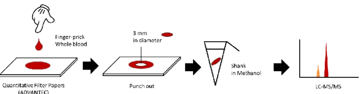 Figure 2  Quantification method of drug in DBS using LC-MS/MS 