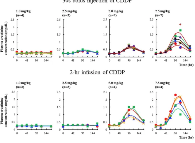 Figure  1-6 .  Ind ividu al  fitted  curves  to  observed  creatin in e  concen trations  after  30 -s  bolu s  injection  (u pper)  or  2 -hr  infusion  of  C DDP   (botto m)  by  the  PP K/TD  model