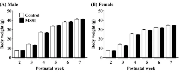 Fig. 1. Effect of maternal separation and social isolation (MSSI) on body weight. 