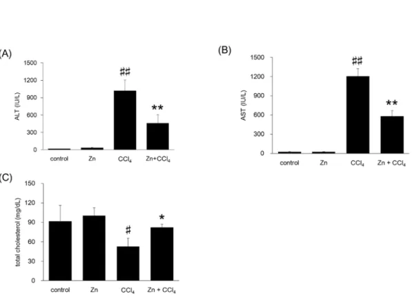 Figure 6. Effect of pretreatment with Zn on ALT, AST, and total cholesterol levels. 