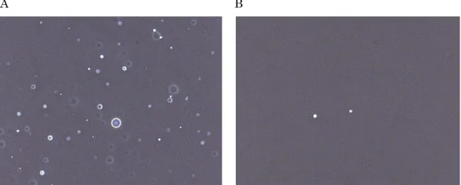 Fig. 6    Phase contrast microscopy images of polydimethylsiloxane-containing canola oil  at 400x magnification