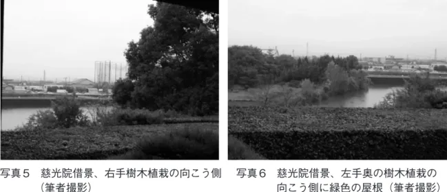 表 6　慈光院庭園の写真比較