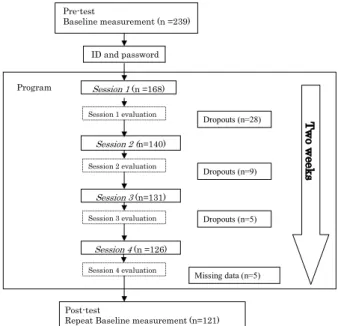 Fig. 2. Flow of the intervention.