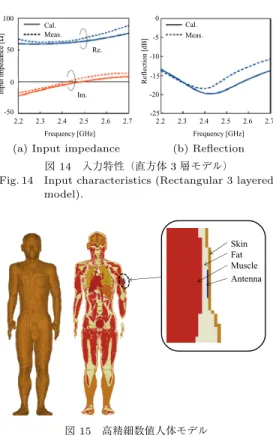 図 15 高精細数値人体モデル Fig. 15 Realistic human model.