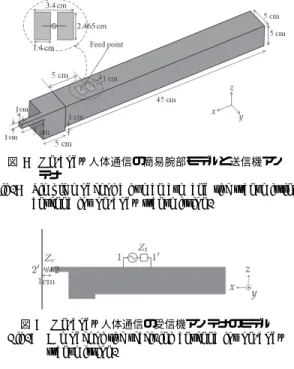 Fig. 7 Simple model of a human arm and the transmitting antenna for on-body transmission.