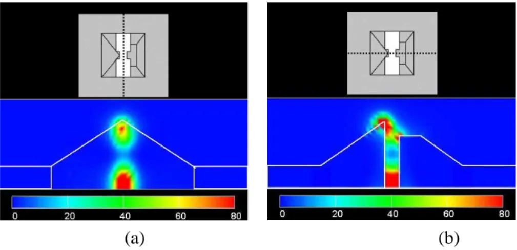 Fig. 2. Two-dimensional optical intensity distributions on the (a) y-z and (b) x-z planes