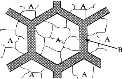 Fig･ 5 Scheme ofa network formed &amp;om low thermal expansion grains embeded by