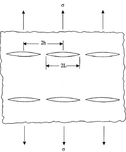 Fig. 1 Mechanical model for solid with high density of microcracks.