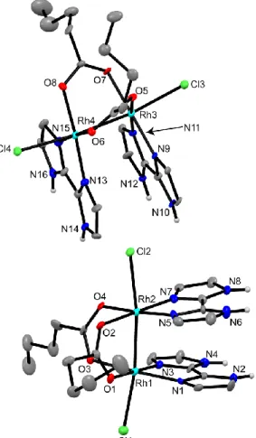 Figure 2-2. Structure of two independent  [Rh 2 (O 2 CBu) 2 (H 2 bim) 2 Cl 2 ] ([1Cl 2 ]) in the crystal of  [1Cl 2 ]·H 2 O, showing the atom-labeling scheme