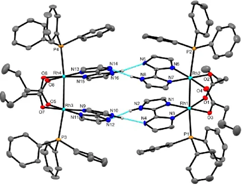 Figure 2-9. Structure of [Rh 2 (O 2 CPr) 2 (Hbim) 2 (PPh 3 ) 2 ] 2  ([2(PPh 3 ) 2 ] 2 ) showing the atom-labeling  scheme