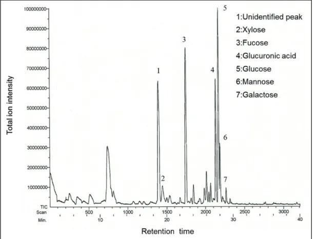 Fig. 13    GC-MS chromatogram of fraction III 