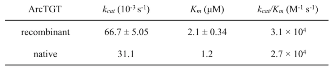 表 2-2-3 M. acetivorans ArcTGT の反応速度論的パラメーター
