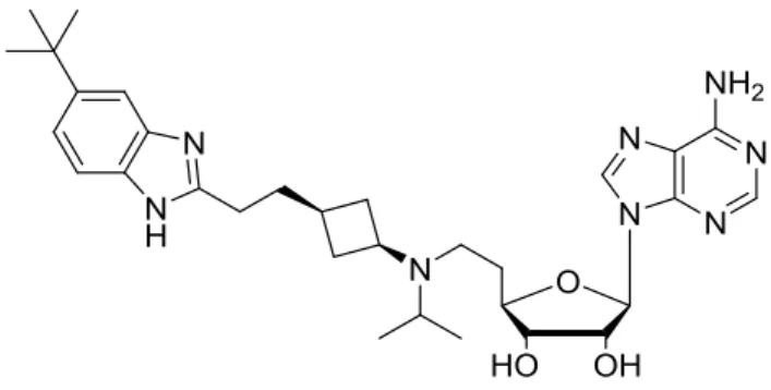 Figure 6  DOT1L の阻害薬  EPZ-5676 の化学構造 