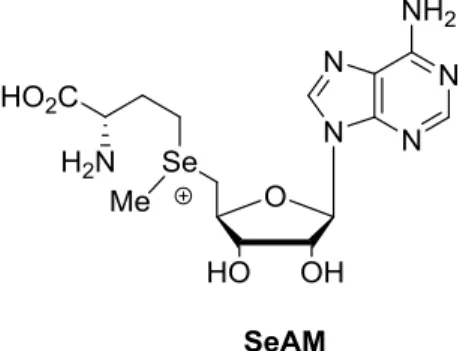 Figure 7  Se-アデノシル-L-セレノメチオニン（SeAM）の化学構造 