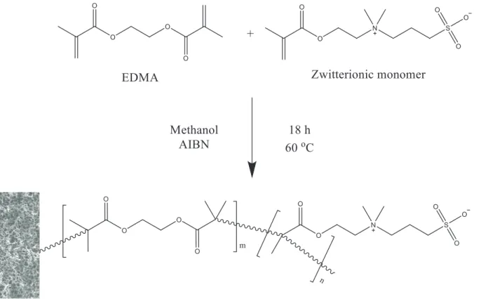 Fig. 3-1 Expected reaction of the preparation of zwitterionic sulfobetaine monolithic column