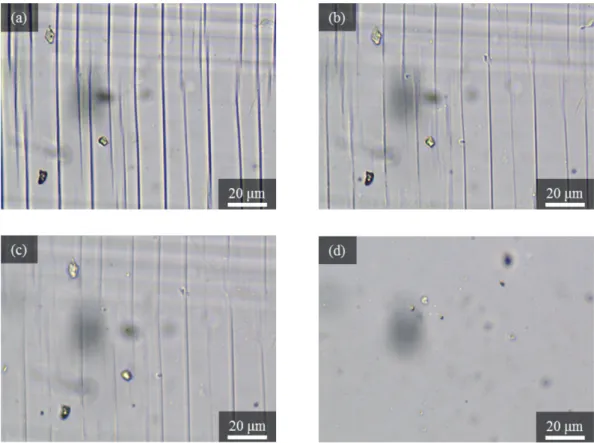 Figure  2.17  Temperature  dependence  of  craze  morphology  for  PLLAC3  film  by  optical  microscope