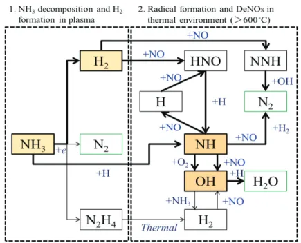 Fig. 2-11 Reaction pathways of DeNO x  in the radical injection technique. 