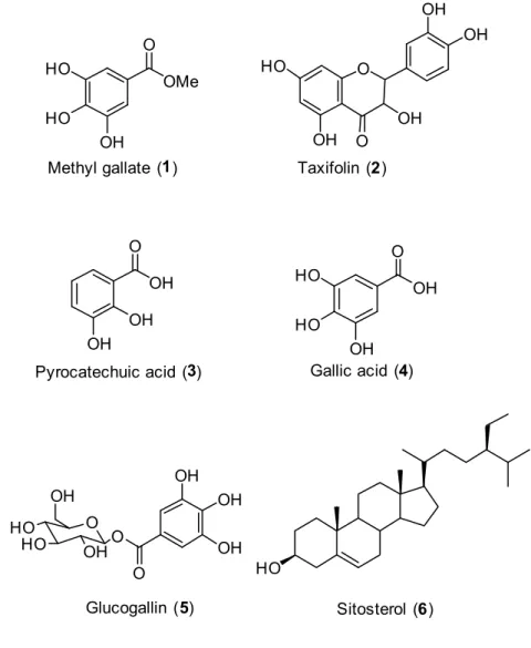 Figure  14.    Chemical structures of isolated compounds from bark of  Mangifera  casturi