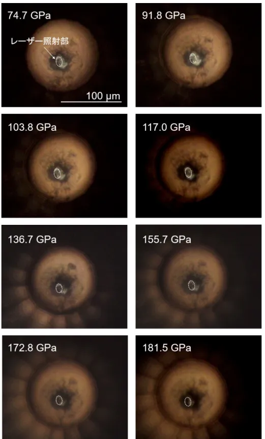 Fig.  3.2.7  LiH x の落射光照明と透過照明を用いた顕微鏡下観察写真．白い破線内はレーザー照