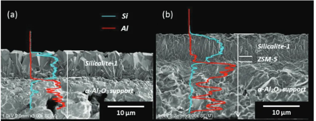 Fig. 2.9. ✀⤖ᬗ࡜ࡋ࡚ S1㸦a㸧࠾ࡼࡧ S4㸦b㸧ࢆ⏝࠸࡚ㄪ〇ࡋࡓ 