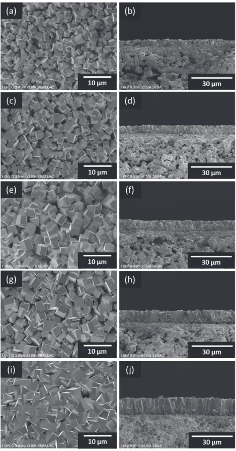 Fig. 3.10.  ␗࡞ࡿ H 2 O/SiO 2 ࡟ࡼࡾㄪ〇ࡉࢀࡓ silicalite-1 ⭷ࡢ⾲㠃㸦ᕥ㸧࠾ࡼࡧ᩿㠃㸦ྑ㸧ࡢ