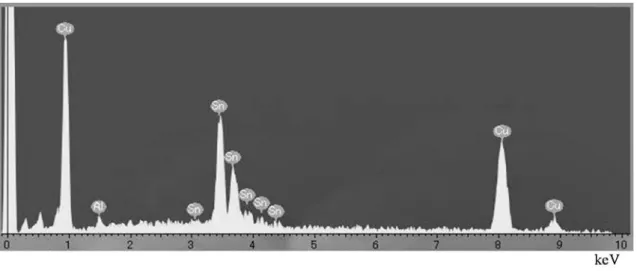 Fig.  2-5  Results on EDX analysis of the unused outlet side tin  coated copper tube. 