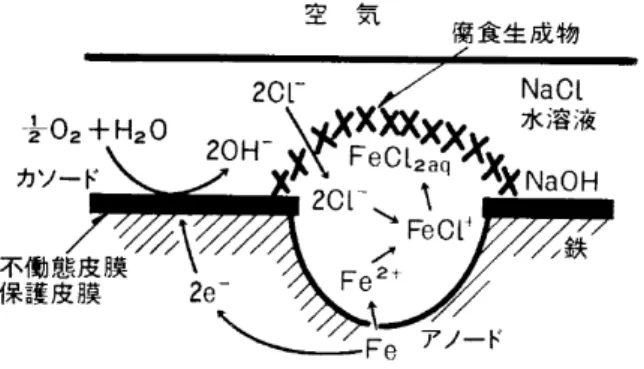 図 1-2  局部腐食部の電気化学反応の模式図 12) 