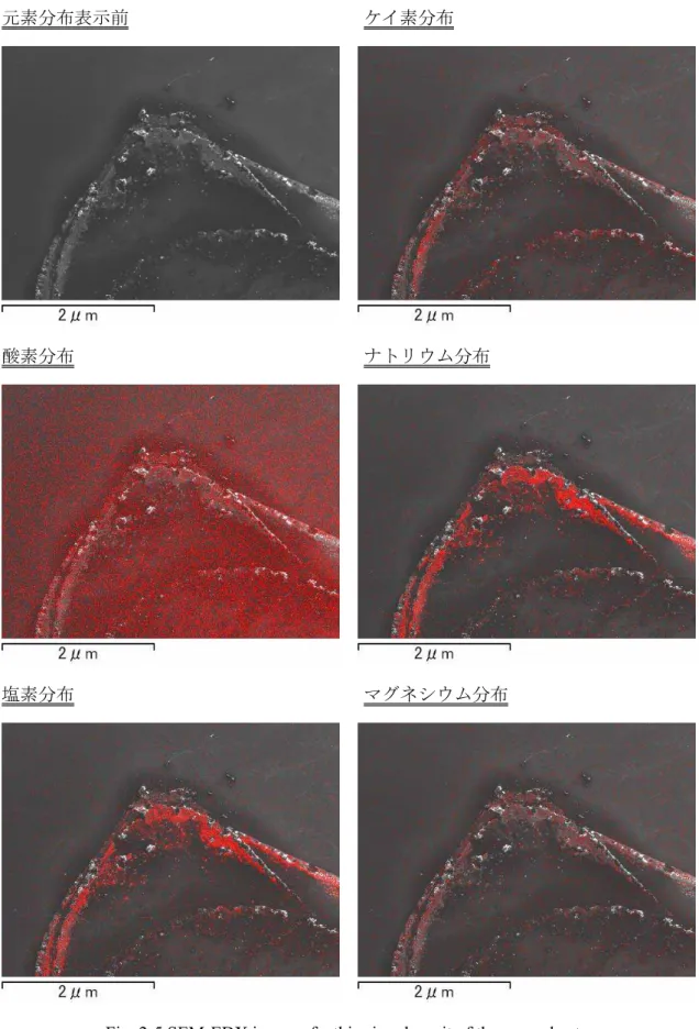 Fig. 2-5 SEM-EDX image of a thin ring deposit of the groundwater. 