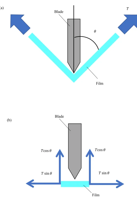 Fig. 2. 3. 3 Schematic diagrams of stress at craze generation point  (a) the film is bent by the tip under the constant tension, 