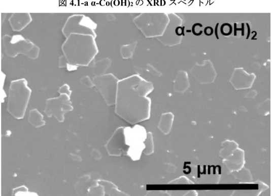 図 4.2 Si 基板上の α-Co(OH) 2 の SEM 像 