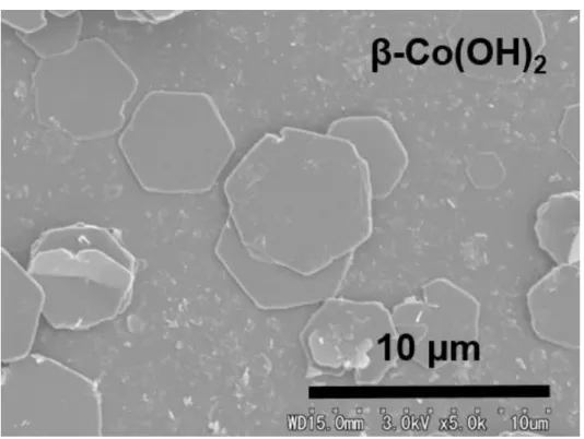 図 4.6 Si 基板上の β-Co (OH) 2 の SEM 像 