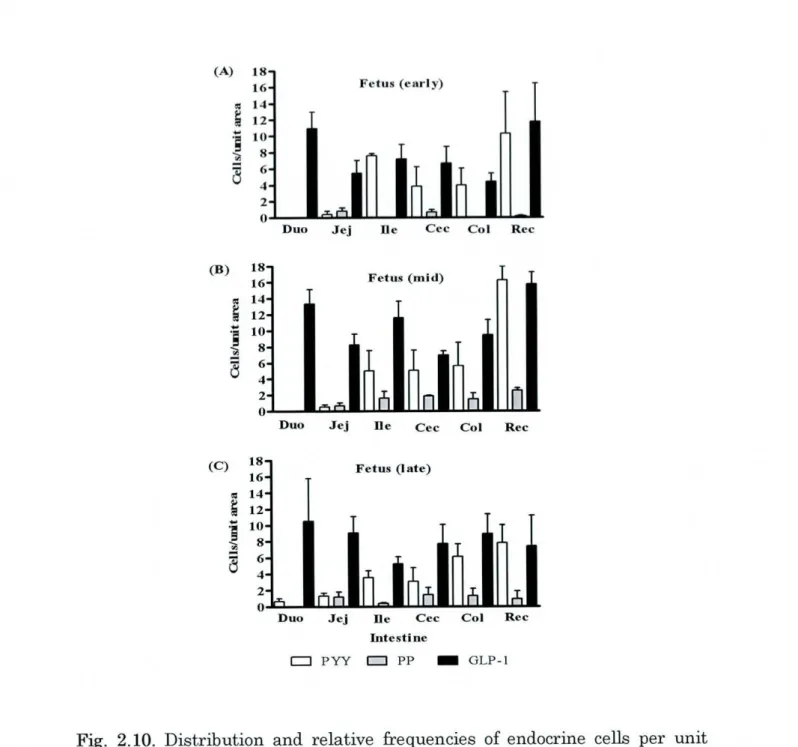 Fig. 2.10. Distribution and relative frequencies of endocrine cells per unit