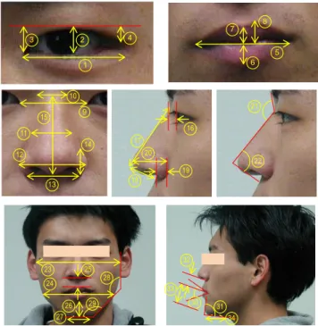 Fig. 3 All measurement items.