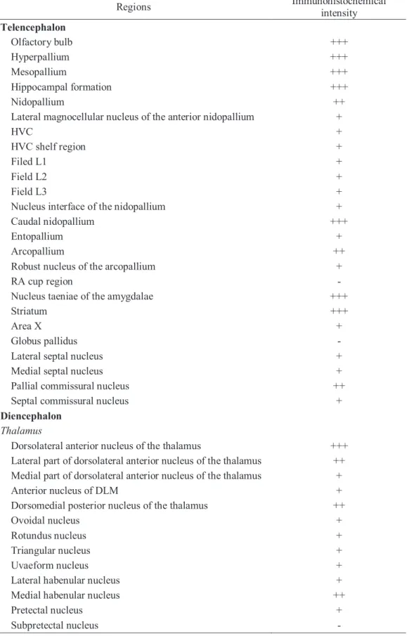 TABLE 4. Regional intensity of VGLUT2 immunoreactivity in the zebra finch brain. 