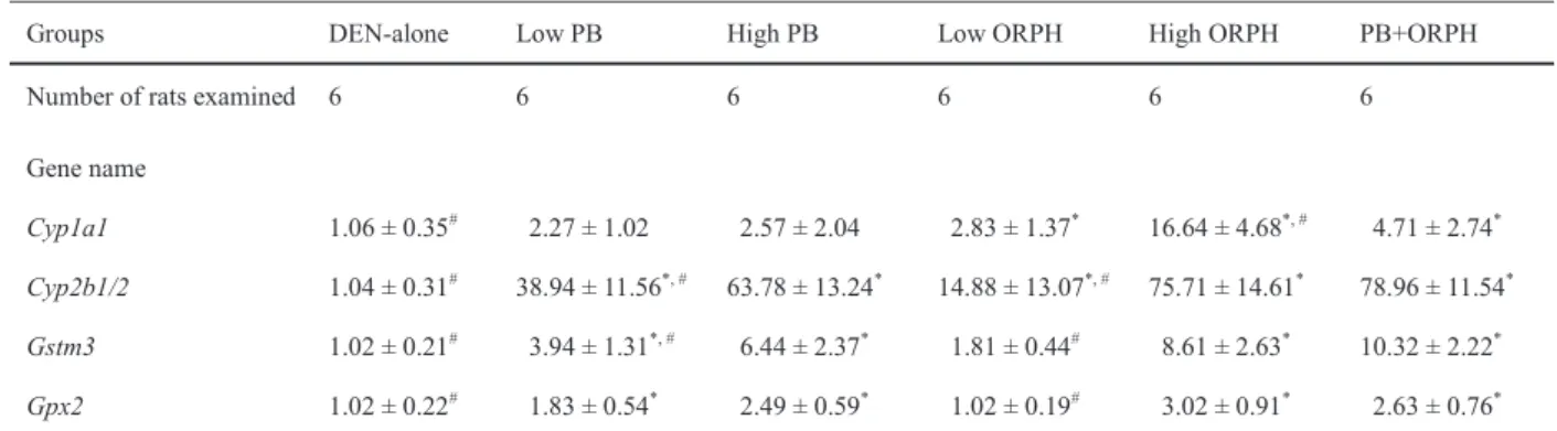 Table 2-3 mRNA expression in the livers of rats given PB and/or ORPH for 6 weeks after DEN  initiation 